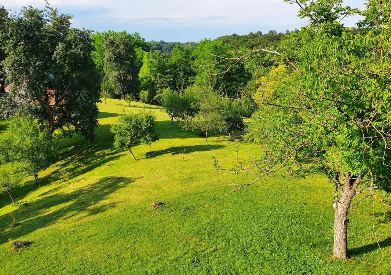 Green Eden Gornji Zvecaj ภายนอก รูปภาพ